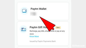 How to Check Paytm Wallet Balance