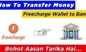 how to transfer money from freecharge to bank
