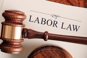 Labour Law UAE understanding