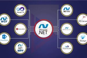 How to Choose the Best .Net Developer